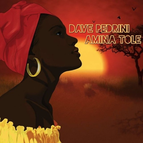 Dave Pedrini - Amina Tole [HT7124]